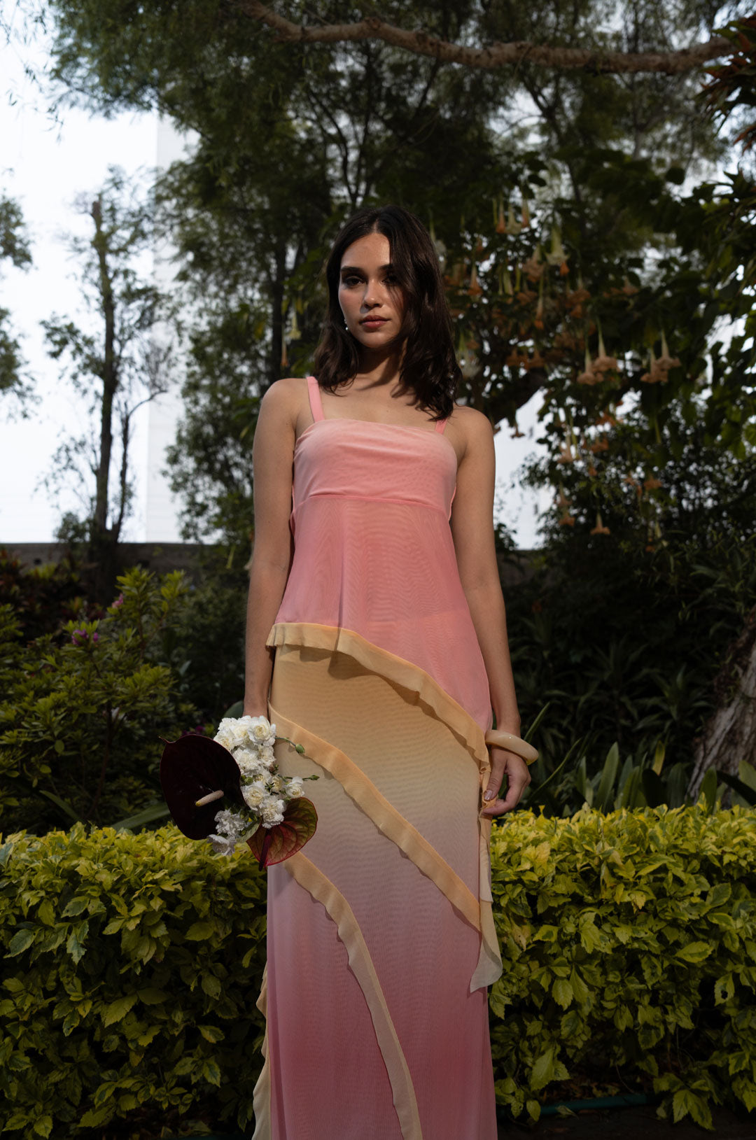 The Alba Set