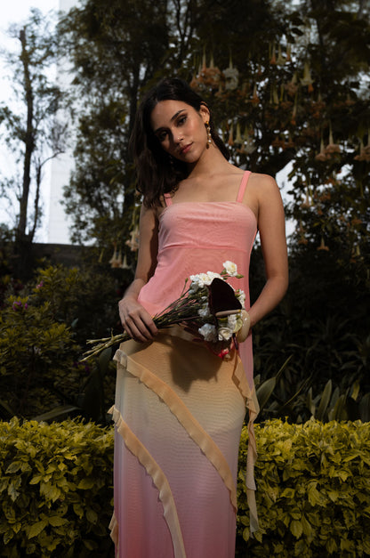 The Alba Set